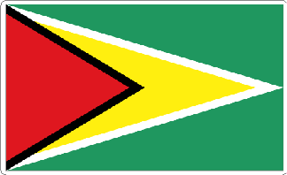 Guyana Flag Sticker
