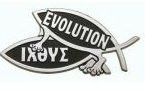Evolution Chrome Car Emblem