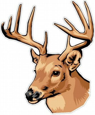 Deer Head Decal Color