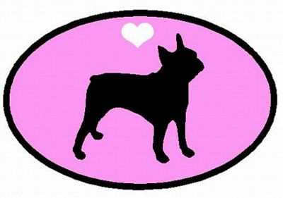 Boston Terrier Decal PINK