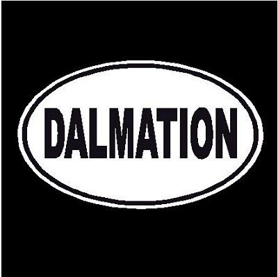 Dalmation Oval Dog Decal