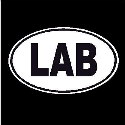 Lab Oval Dog Decal