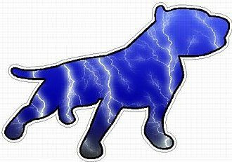 PITBULL STICKER FILLS lightning blue