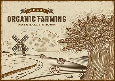 Wheat Organic Farming Landscape Sticker