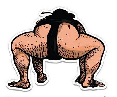 Sumo Funny Vinyl Sticker Waterproof Decal FOR GUYS