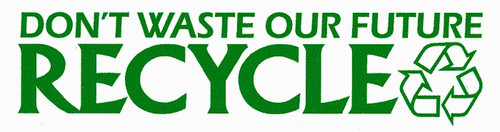 dont waste our future recycle bumper sticker