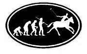 Evolution Sport Stickers POLO - OVAL B