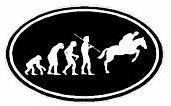 Evolution Sport Stickers RODEO - OVAL B