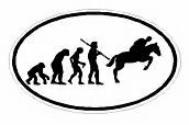 Evolution Sport Stickers RODEO - OVAL W
