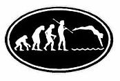 Evolution Sport Stickers SWIMMER 2 - OVAL B