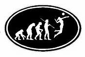 Evolution Sport Stickers VOLLYBALL WOMANS - OVAL B