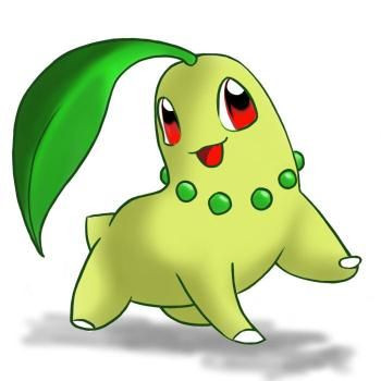 Pokémon chikorita