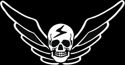 Shadaloo game sticker