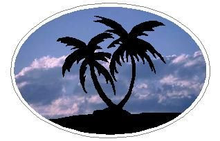 Oval Palm Tree Decal 18