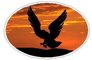 Oval Eagle Decal 09