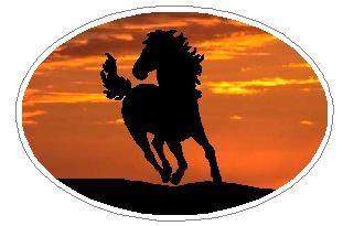 Oval Stallion Decal 15