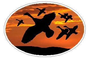Oval Flying Ducks Decal 03