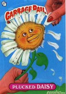 Plucked DAISY Funny Decal Name Sticker