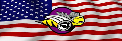 DODGE Bee Flag Rear Window Graphic