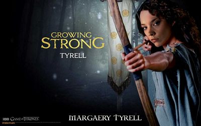 Game of Thrones Color Decals 11