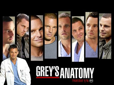 Greys Anatomy Wallpaper Sticker