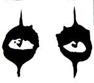 Alice Cooper Eyes Diecut Decal