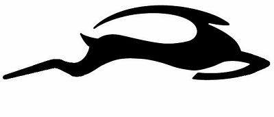 impala without oval decal RIGHT