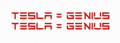 TESLA BRAND DECALS 13 genius PAIR