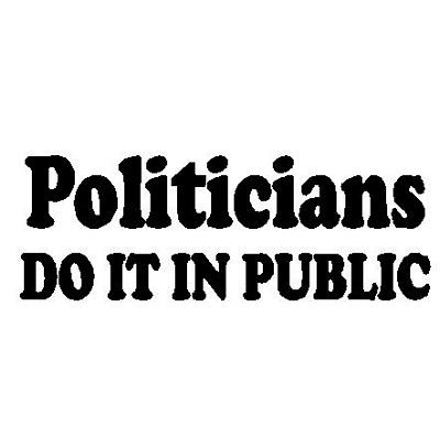 Politicians Do It Decal