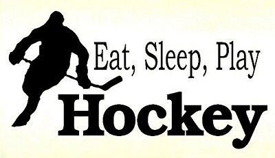 Eat Sleep Play HOCKEY Die cut Vinyl Decal