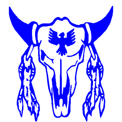 Cow Skull with Feathers 775