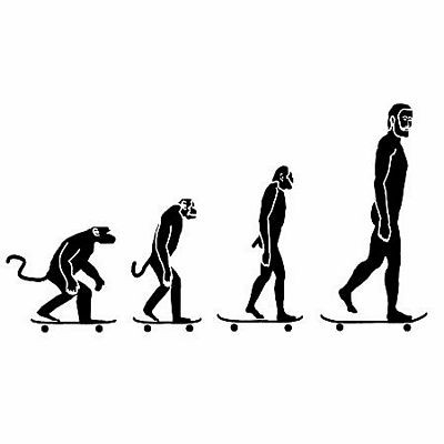 Evolution Vinyl Decal 15i