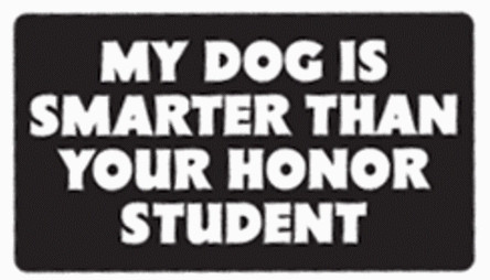 My Dog is Smart Bumper Sticker