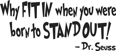 why fit it die cut funny car sticker