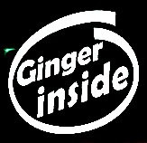 ginger inside funny car truck sticker 2