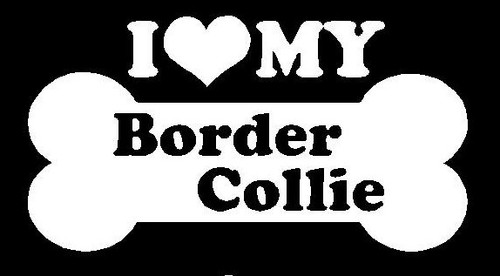 I Love My Border Collie 24