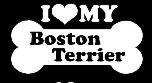 I Love My Boston Terrier 27