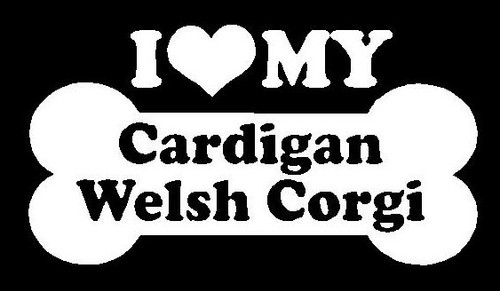 I Love My Cardigan Welsh Corgi 38