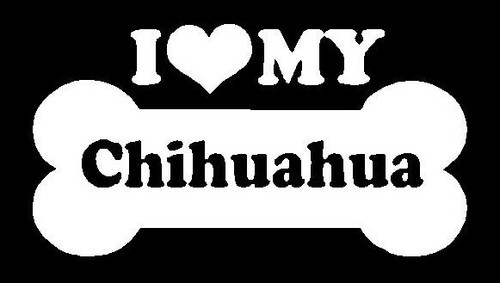 I Love My Chihuahua 41