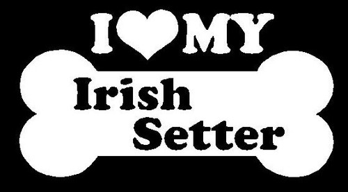I Love My Irish Setter 66