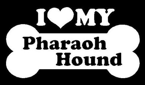 I Love My Pharaoh Hound 82