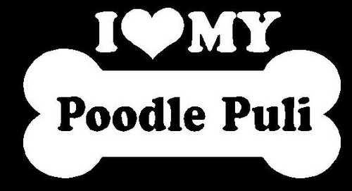 I Love My Poodle Puli 87