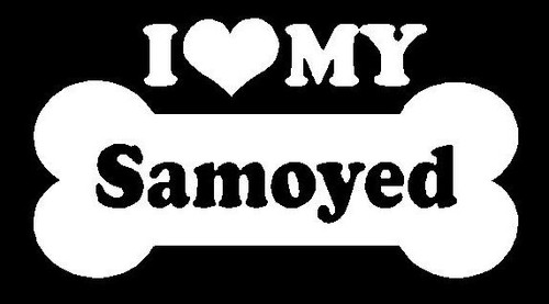 I Love My Samoyed 92