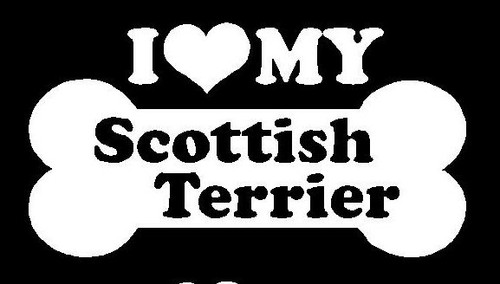 I Love My Scottish Terrier 94
