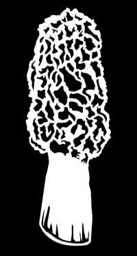 Hunting Vinyl Decal 88