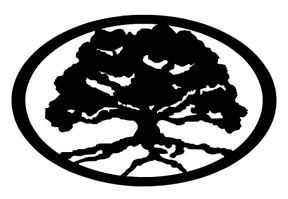 Oak Tree Oval