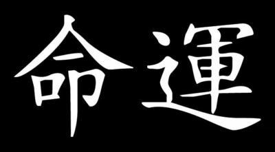 Japanese Letters Vinyl International Decal DESTINY