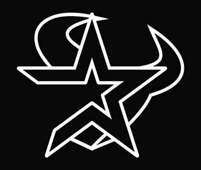 Houston Texans Astros Die Cut Vinyl Decal Sticker