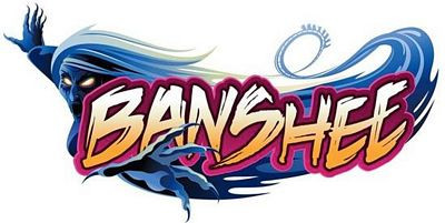 banshee roller coaster theme park logo