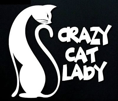 crazy cat lady car decal